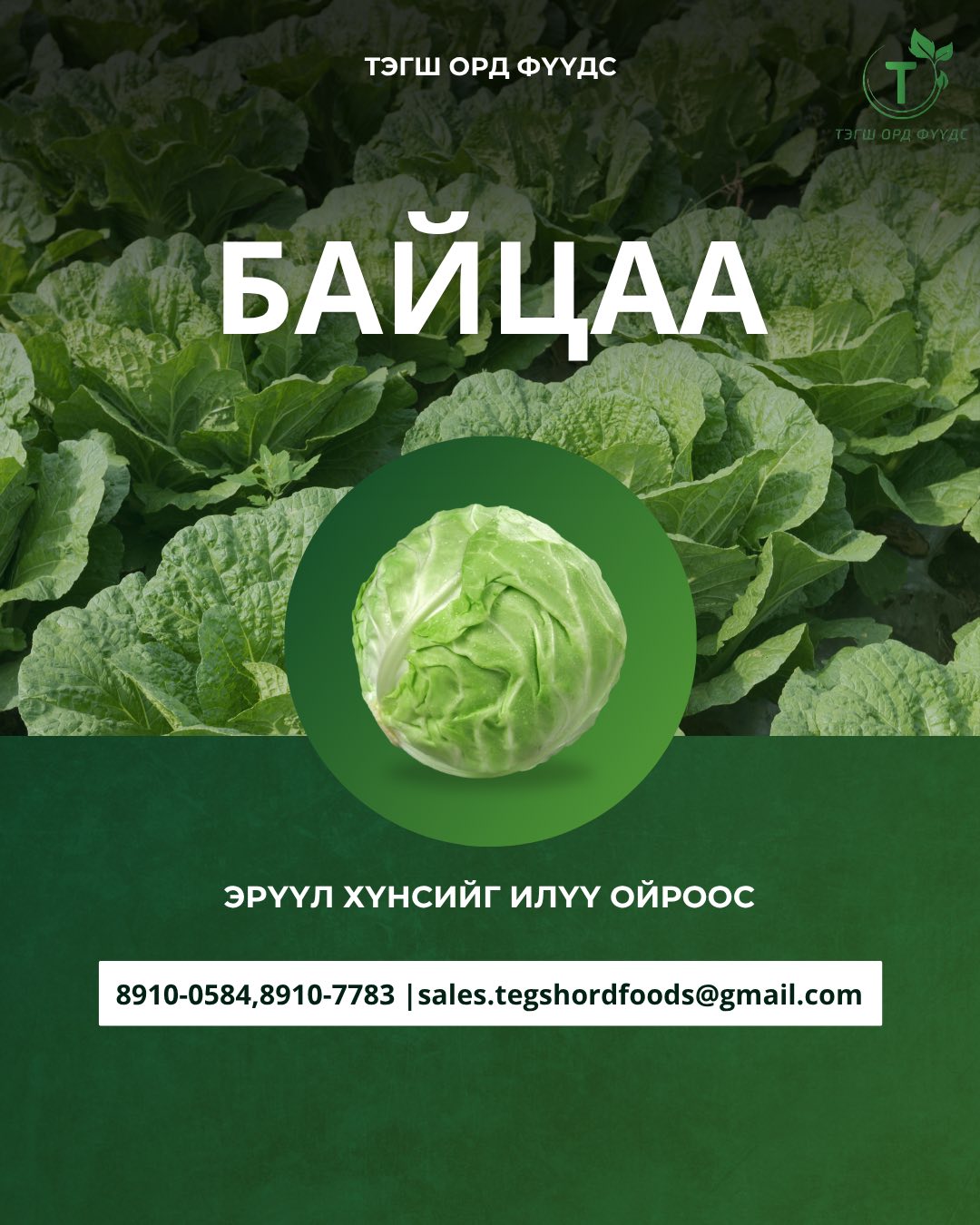 Тэгш Орд Фүүдс 1