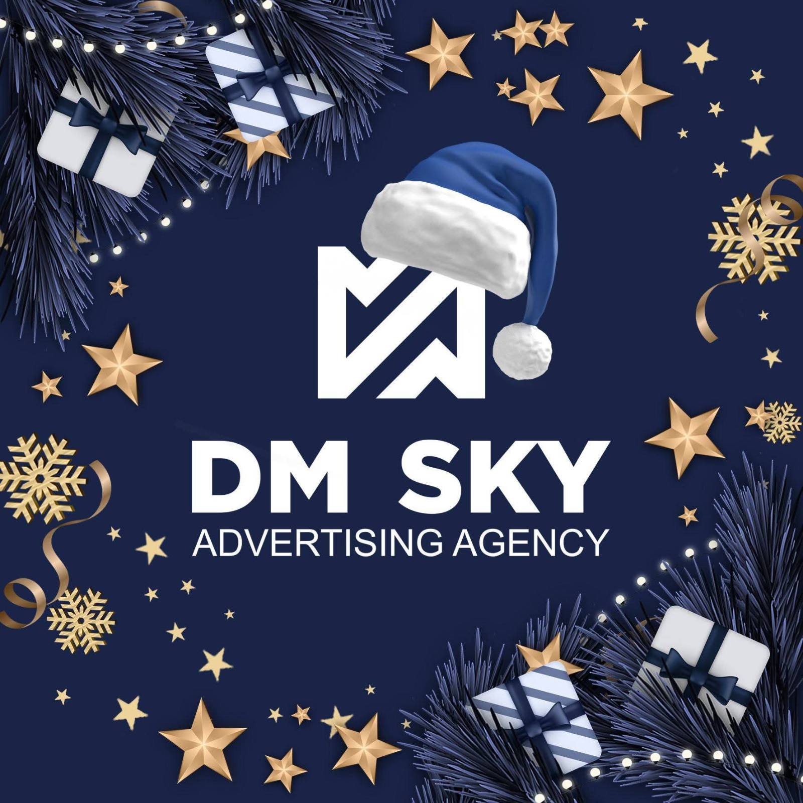 DM SKY LLC